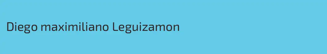 Diego maximiliano Leguizamon